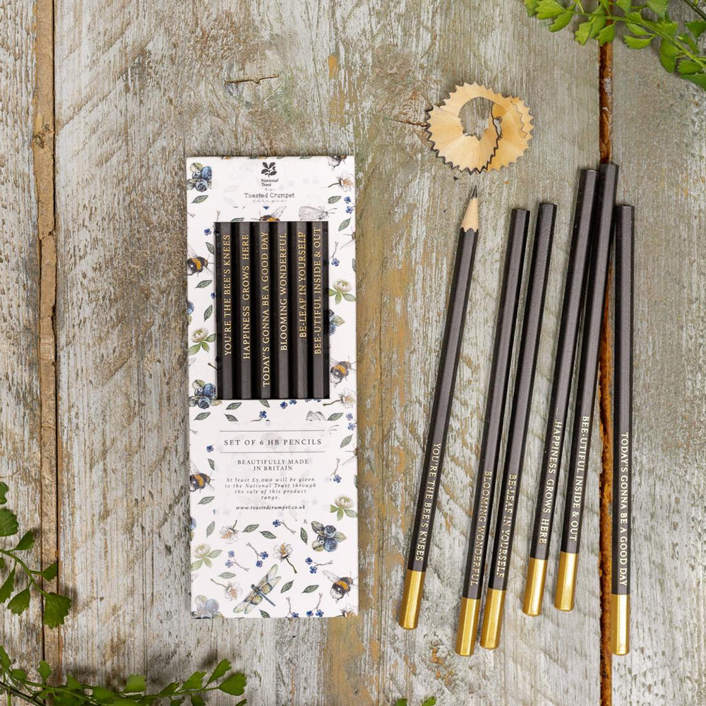
                  
                    Toasted Crumpet Set Of 6 Pencils - Wildflower Meadows
                  
                
