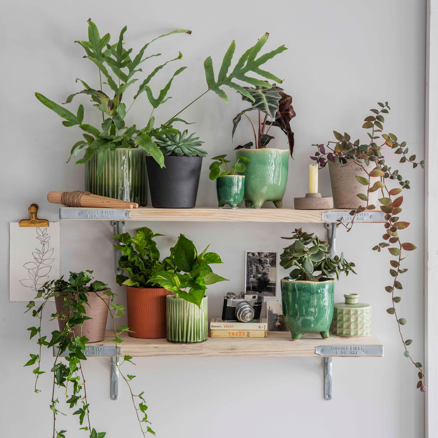 Indoor Planting & Vases