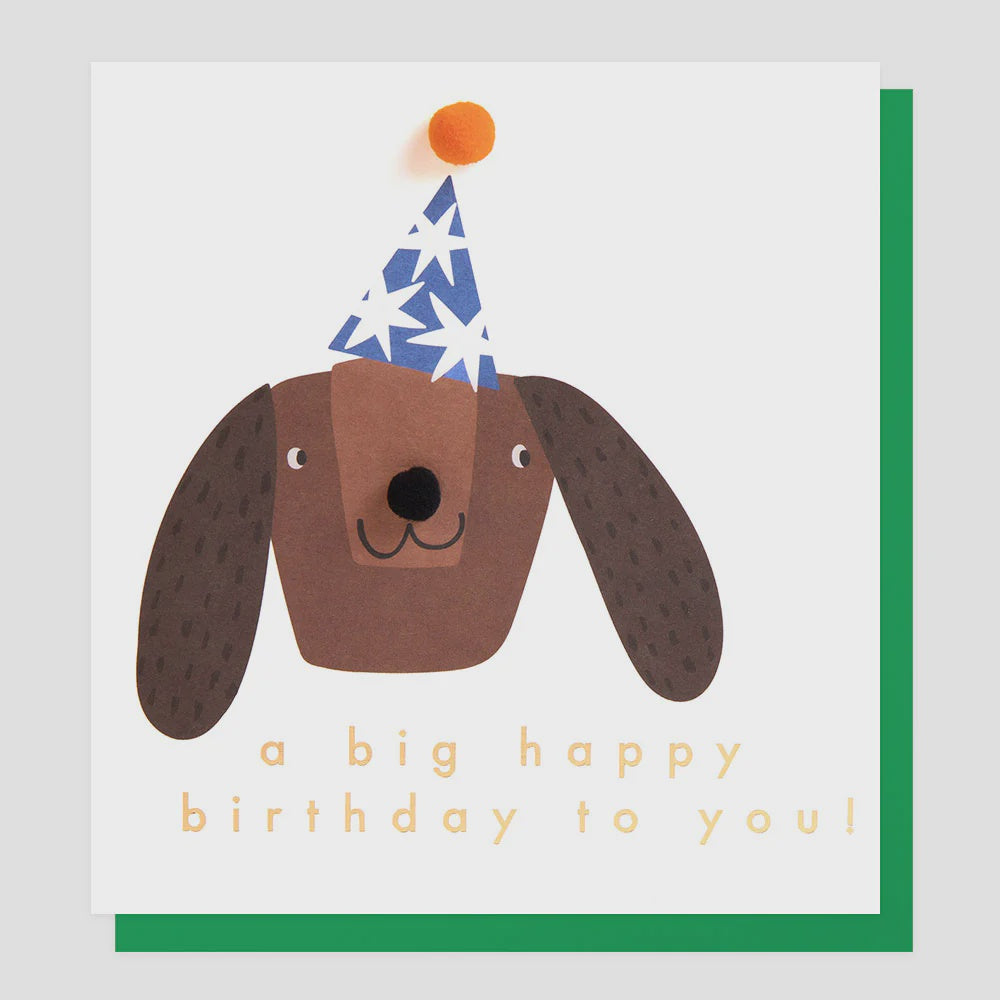 Caroline Gardner Dog In Party Hat Birthday Greetings Card