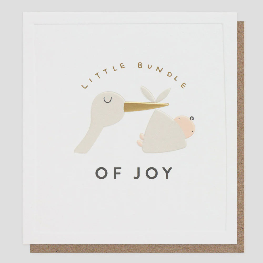 Caroline Gardner Little Bundle Of Joy Stalk Greetings Card