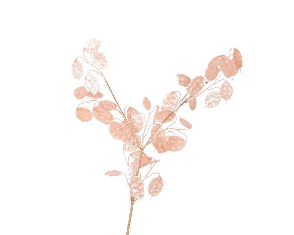 Blush Pink Lunaria Stem