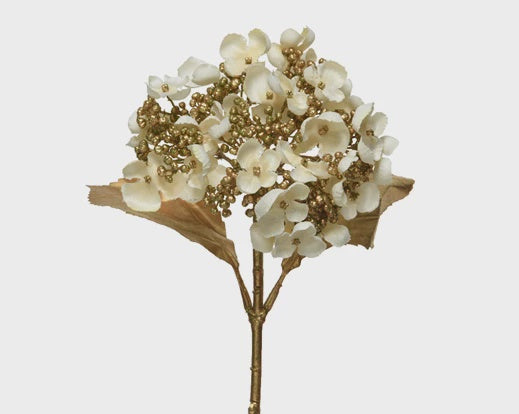 Gold Flowering Hydrangea Stem