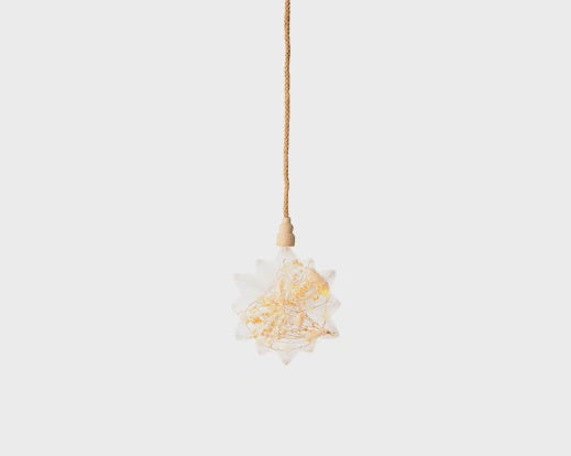 Dried Flower Filled LED Indoor Decorative Vintage Star Light