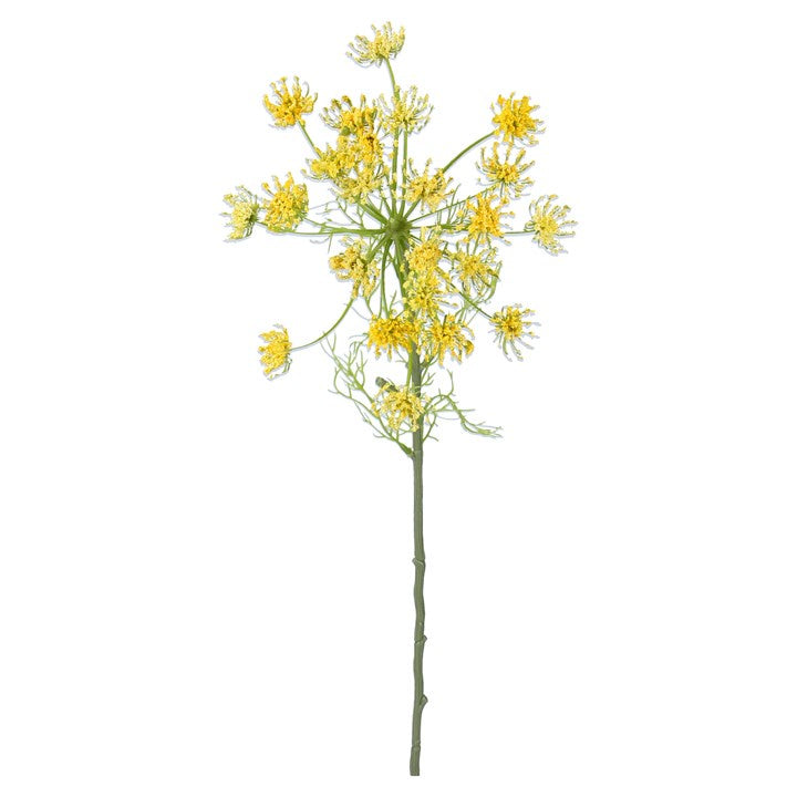 Gisela Graham Yellow Queen Annes Lace Stem