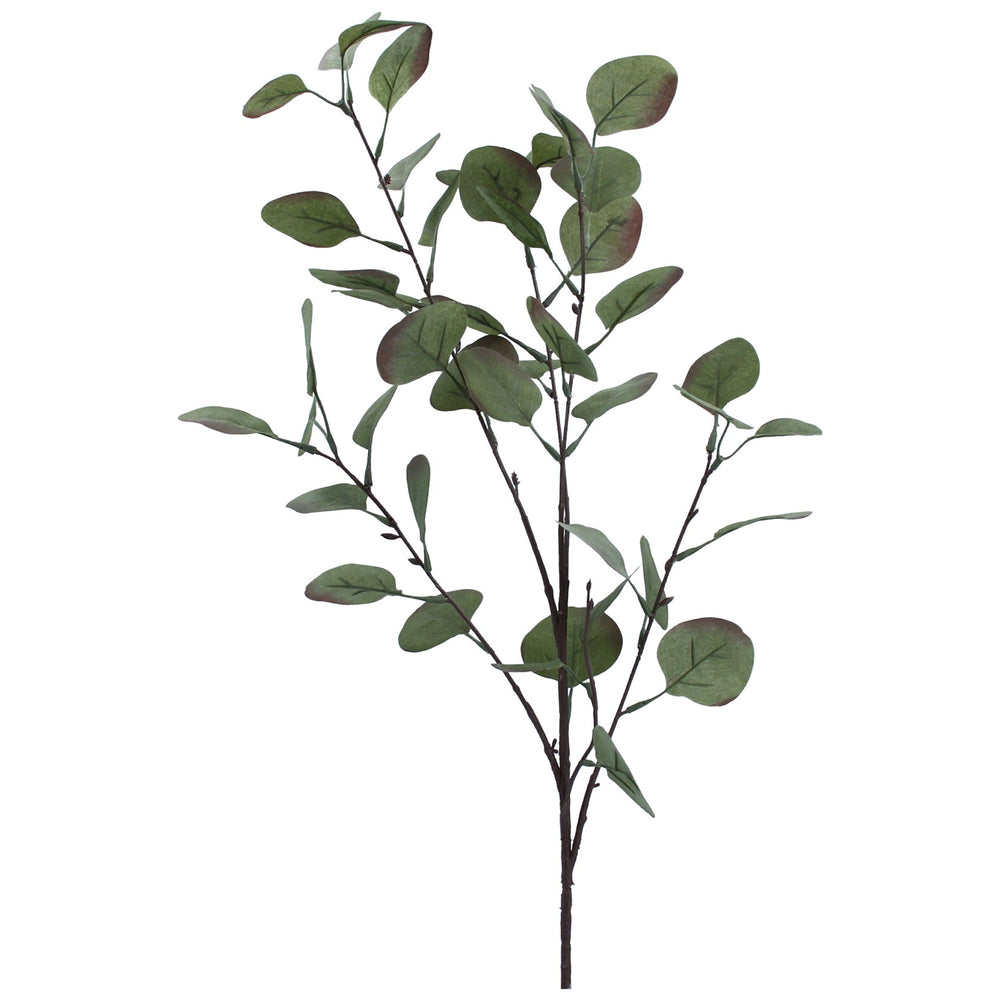 Gisela Graham Eucalyptus Branch - Tinged Green