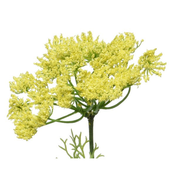 Faux Cow Parsley Stem - Yellow