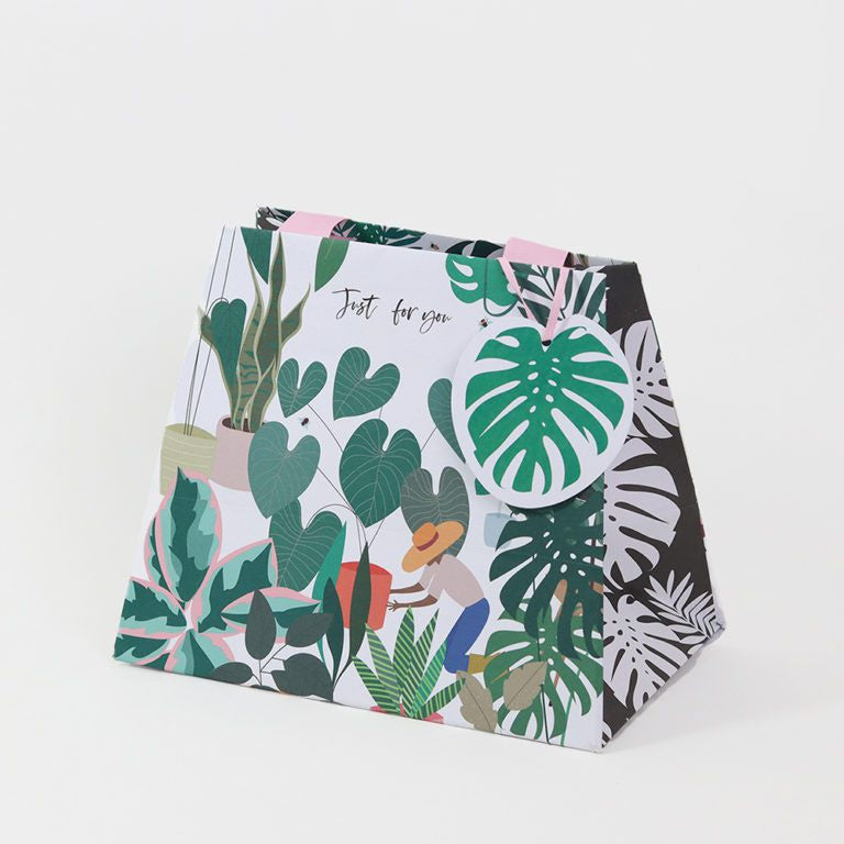 Belly Button Plants  Gift Bag - Plants
